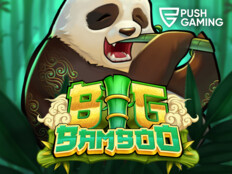 Free casino video slot games41